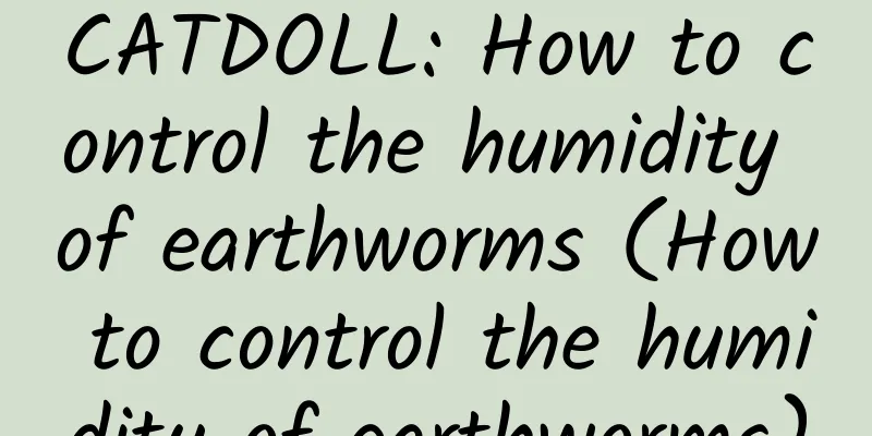 CATDOLL: How to control the humidity of earthworms (How to control the humidity of earthworms)
