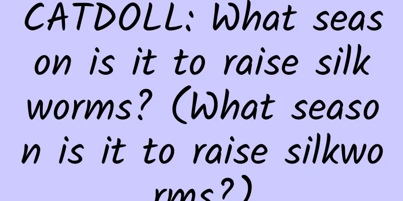 CATDOLL: What season is it to raise silkworms? (What season is it to raise silkworms?)