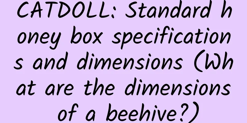 CATDOLL: Standard honey box specifications and dimensions (What are the dimensions of a beehive?)