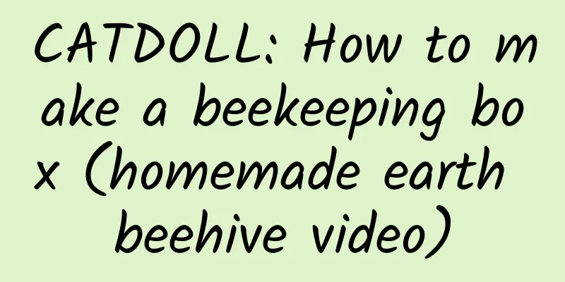 CATDOLL: How to make a beekeeping box (homemade earth beehive video)