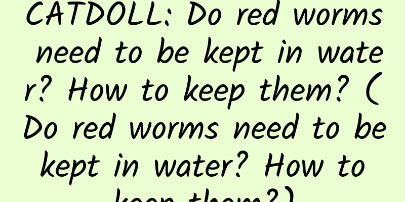 CATDOLL: Do red worms need to be kept in water? How to keep them? (Do red worms need to be kept in water? How to keep them?)