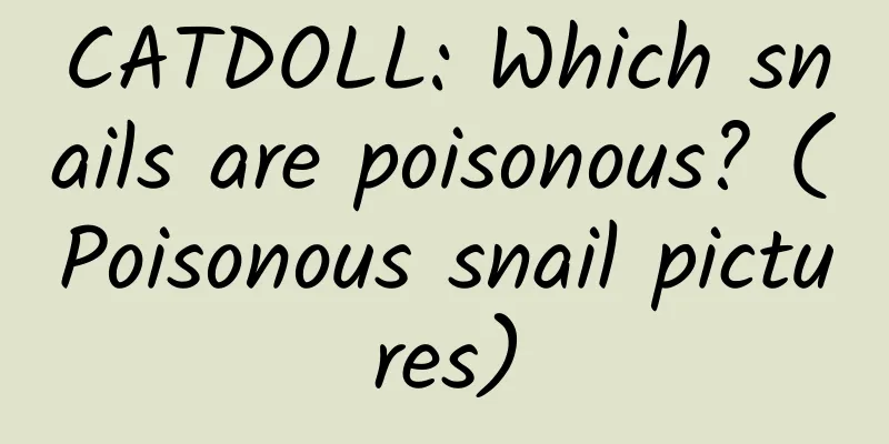 CATDOLL: Which snails are poisonous? (Poisonous snail pictures)