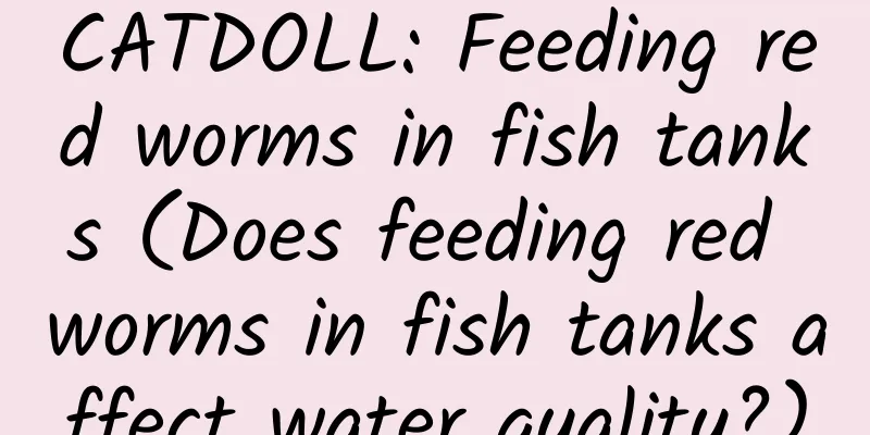 CATDOLL: Feeding red worms in fish tanks (Does feeding red worms in fish tanks affect water quality?)