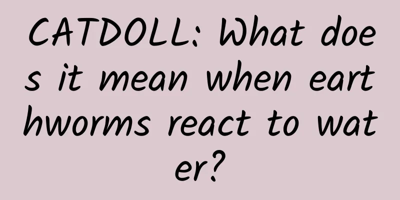 CATDOLL: What does it mean when earthworms react to water?
