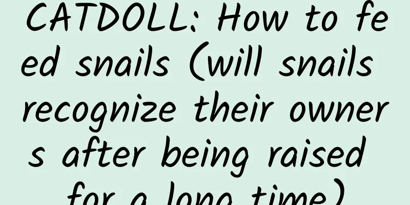 CATDOLL: How to feed snails (will snails recognize their owners after being raised for a long time)