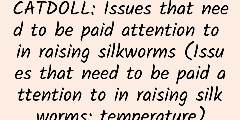 CATDOLL: Issues that need to be paid attention to in raising silkworms (Issues that need to be paid attention to in raising silkworms: temperature)