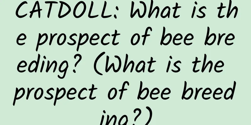 CATDOLL: What is the prospect of bee breeding? (What is the prospect of bee breeding?)