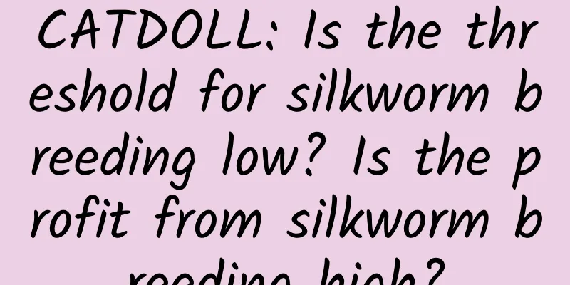 CATDOLL: Is the threshold for silkworm breeding low? Is the profit from silkworm breeding high?