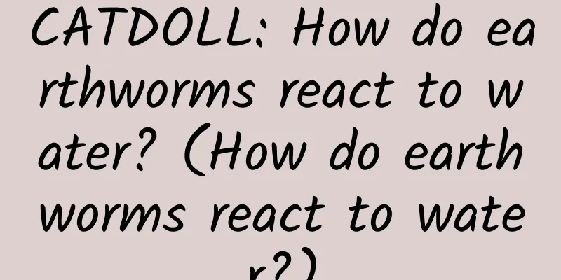 CATDOLL: How do earthworms react to water? (How do earthworms react to water?)