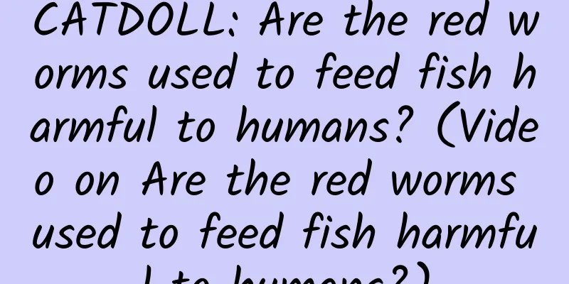 CATDOLL: Are the red worms used to feed fish harmful to humans? (Video on Are the red worms used to feed fish harmful to humans?)