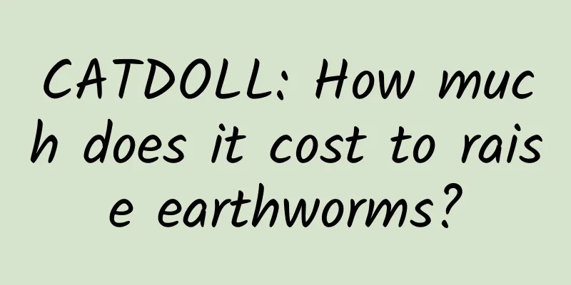 CATDOLL: How much does it cost to raise earthworms?