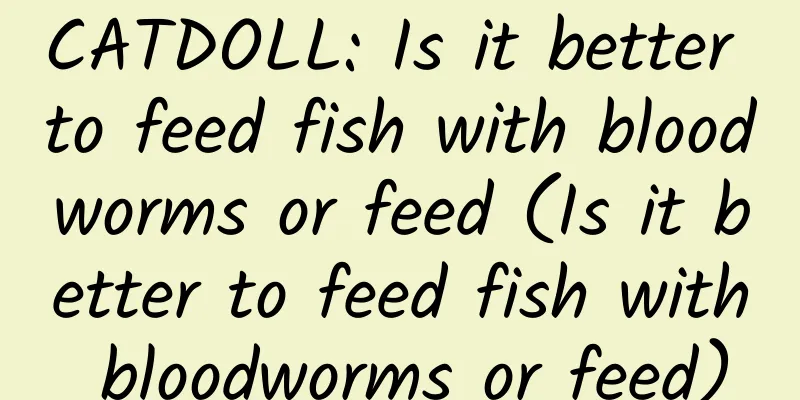 CATDOLL: Is it better to feed fish with bloodworms or feed (Is it better to feed fish with bloodworms or feed)