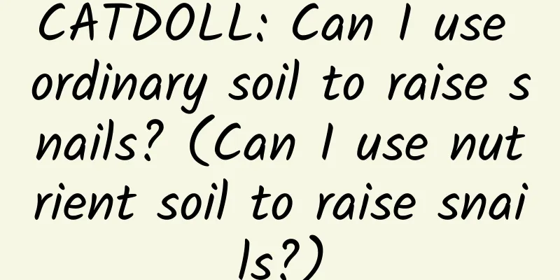 CATDOLL: Can I use ordinary soil to raise snails? (Can I use nutrient soil to raise snails?)