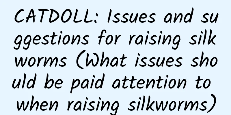CATDOLL: Issues and suggestions for raising silkworms (What issues should be paid attention to when raising silkworms)