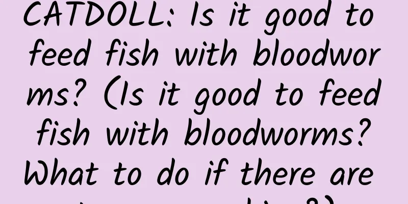 CATDOLL: Is it good to feed fish with bloodworms? (Is it good to feed fish with bloodworms? What to do if there are too many skins?)