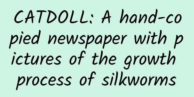 CATDOLL: A hand-copied newspaper with pictures of the growth process of silkworms
