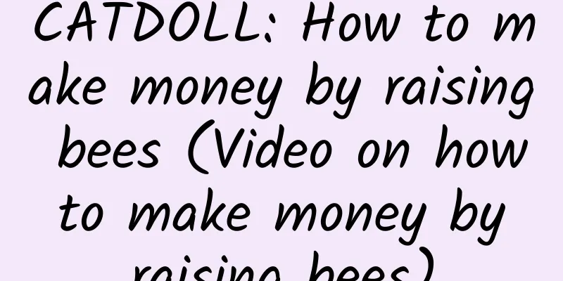 CATDOLL: How to make money by raising bees (Video on how to make money by raising bees)