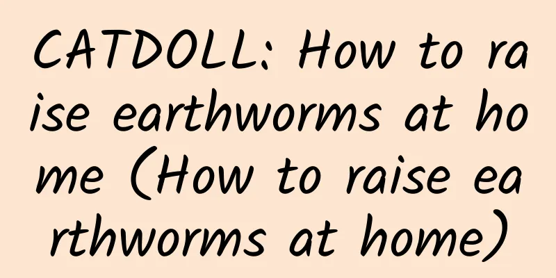 CATDOLL: How to raise earthworms at home (How to raise earthworms at home)