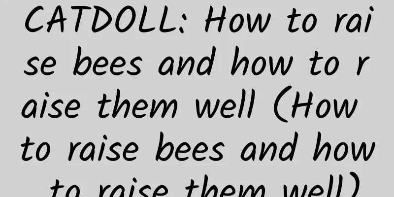 CATDOLL: How to raise bees and how to raise them well (How to raise bees and how to raise them well)