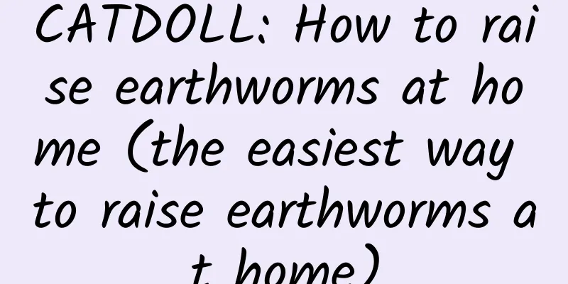 CATDOLL: How to raise earthworms at home (the easiest way to raise earthworms at home)