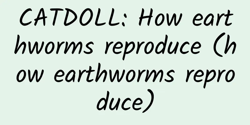 CATDOLL: How earthworms reproduce (how earthworms reproduce)