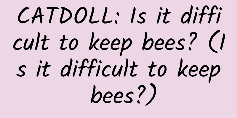 CATDOLL: Is it difficult to keep bees? (Is it difficult to keep bees?)