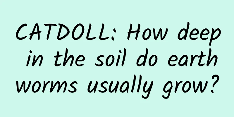 CATDOLL: How deep in the soil do earthworms usually grow?