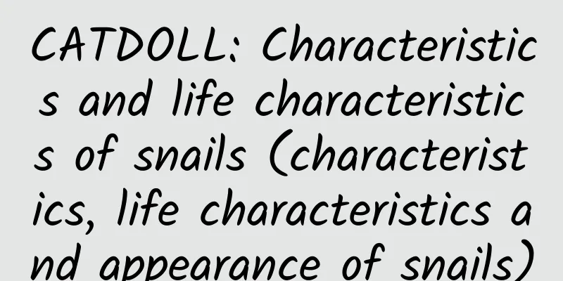 CATDOLL: Characteristics and life characteristics of snails (characteristics, life characteristics and appearance of snails)