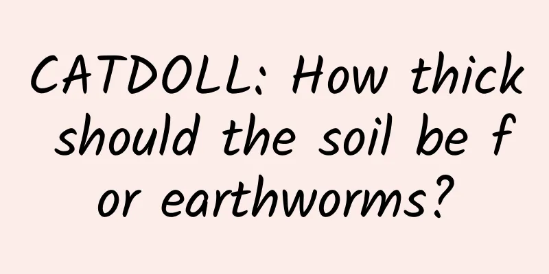 CATDOLL: How thick should the soil be for earthworms?