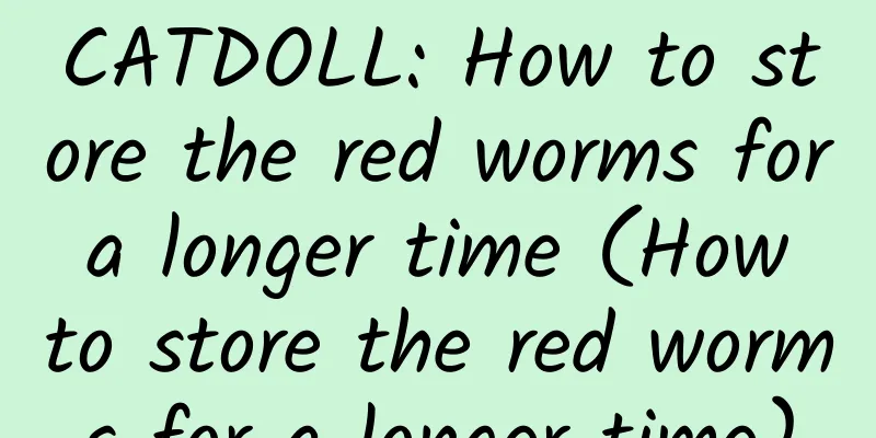 CATDOLL: How to store the red worms for a longer time (How to store the red worms for a longer time)