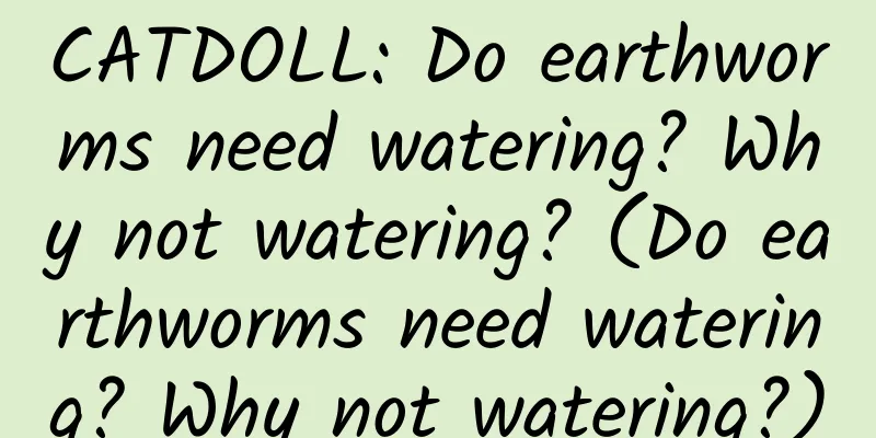 CATDOLL: Do earthworms need watering? Why not watering? (Do earthworms need watering? Why not watering?)