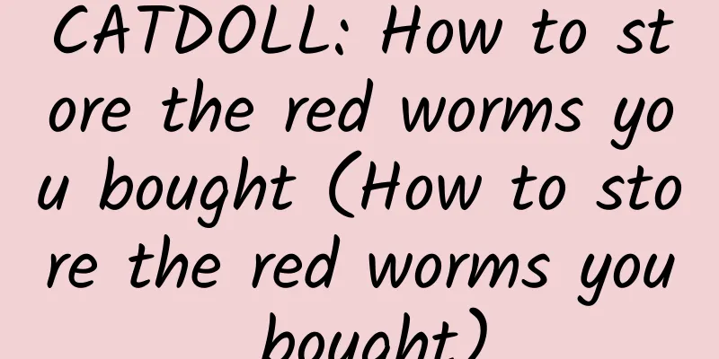 CATDOLL: How to store the red worms you bought (How to store the red worms you bought)