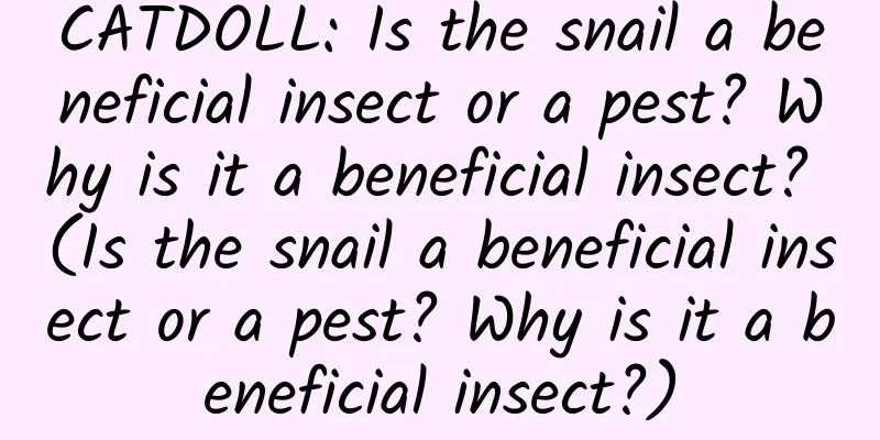 CATDOLL: Is the snail a beneficial insect or a pest? Why is it a beneficial insect? (Is the snail a beneficial insect or a pest? Why is it a beneficial insect?)