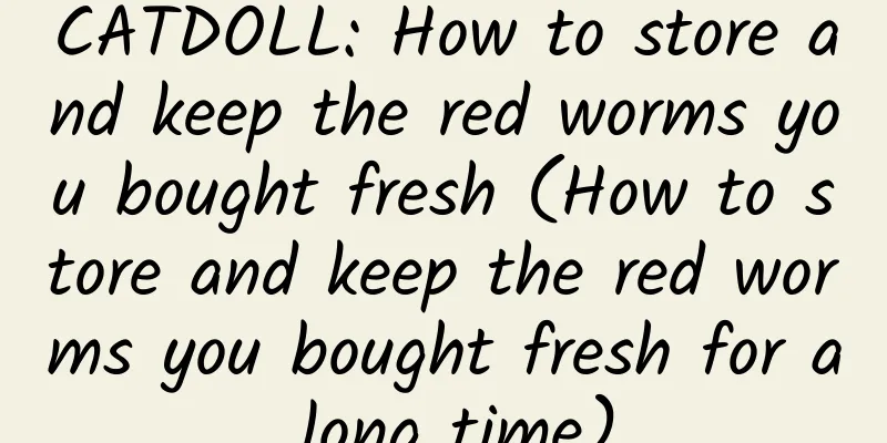 CATDOLL: How to store and keep the red worms you bought fresh (How to store and keep the red worms you bought fresh for a long time)