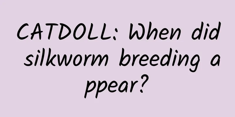 CATDOLL: When did silkworm breeding appear?