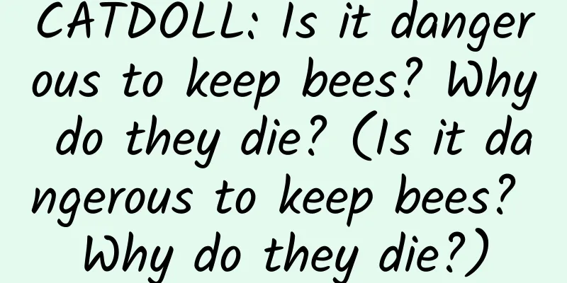 CATDOLL: Is it dangerous to keep bees? Why do they die? (Is it dangerous to keep bees? Why do they die?)