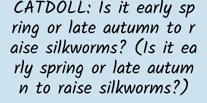 CATDOLL: Is it early spring or late autumn to raise silkworms? (Is it early spring or late autumn to raise silkworms?)