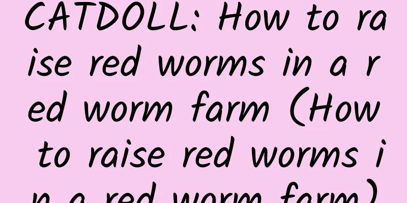 CATDOLL: How to raise red worms in a red worm farm (How to raise red worms in a red worm farm)