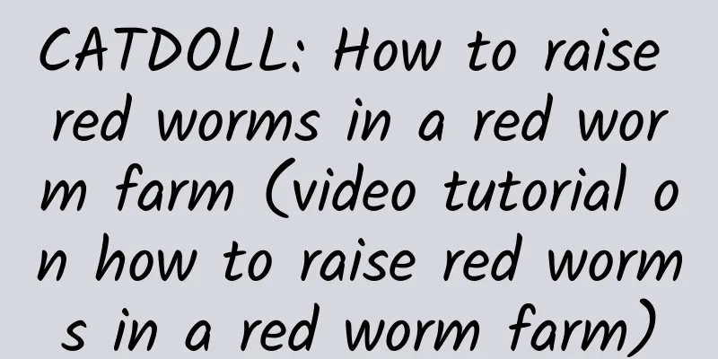 CATDOLL: How to raise red worms in a red worm farm (video tutorial on how to raise red worms in a red worm farm)