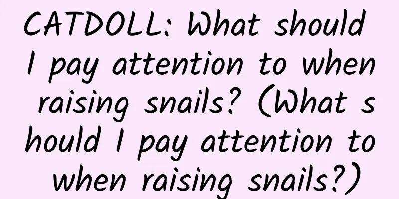 CATDOLL: What should I pay attention to when raising snails? (What should I pay attention to when raising snails?)