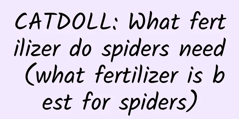 CATDOLL: What fertilizer do spiders need (what fertilizer is best for spiders)