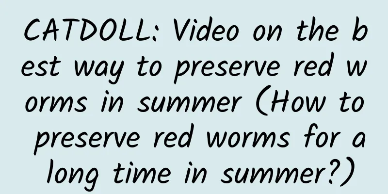 CATDOLL: Video on the best way to preserve red worms in summer (How to preserve red worms for a long time in summer?)