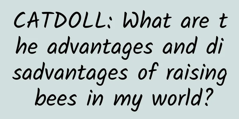 CATDOLL: What are the advantages and disadvantages of raising bees in my world?