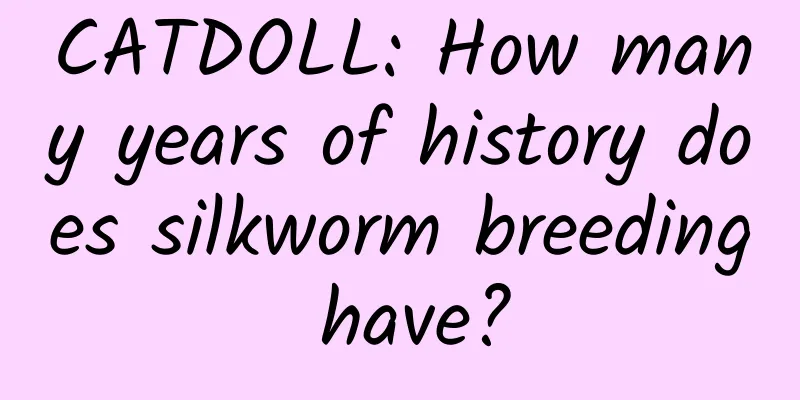 CATDOLL: How many years of history does silkworm breeding have?