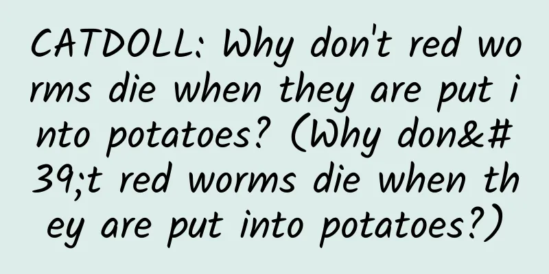 CATDOLL: Why don't red worms die when they are put into potatoes? (Why don't red worms die when they are put into potatoes?)