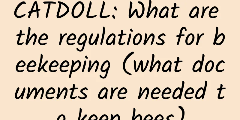 CATDOLL: What are the regulations for beekeeping (what documents are needed to keep bees)