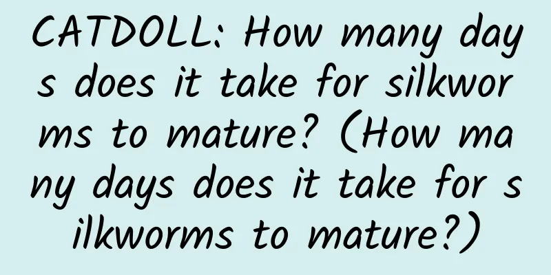 CATDOLL: How many days does it take for silkworms to mature? (How many days does it take for silkworms to mature?)