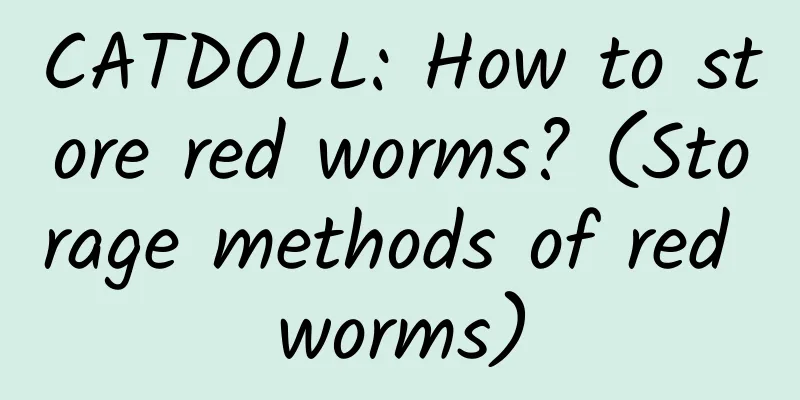CATDOLL: How to store red worms? (Storage methods of red worms)