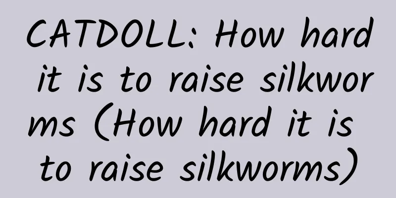 CATDOLL: How hard it is to raise silkworms (How hard it is to raise silkworms)