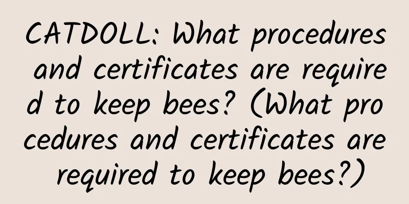 CATDOLL: What procedures and certificates are required to keep bees? (What procedures and certificates are required to keep bees?)